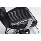 Beauty Salon Stylish Chair