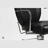Beauty Salon Stylish Chair