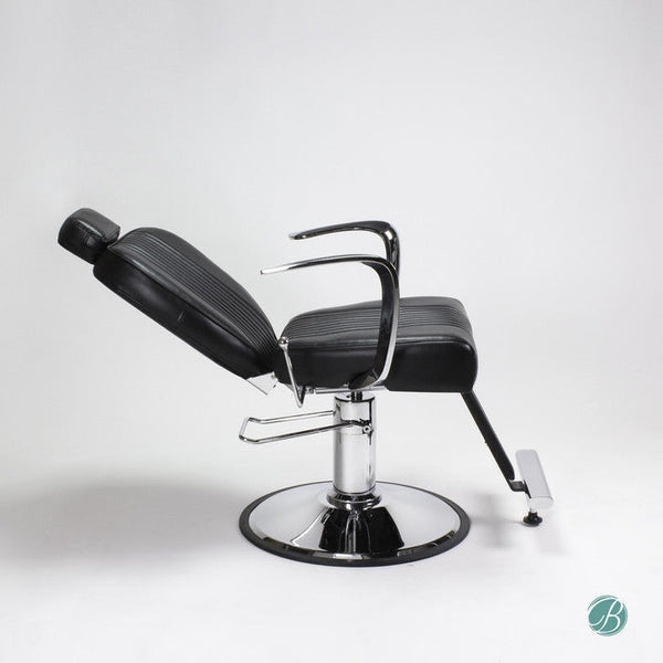 Beauty Salon Stylish Chair