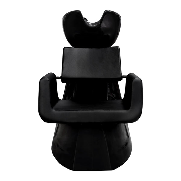 Aron II Shampoo Backwash Unit