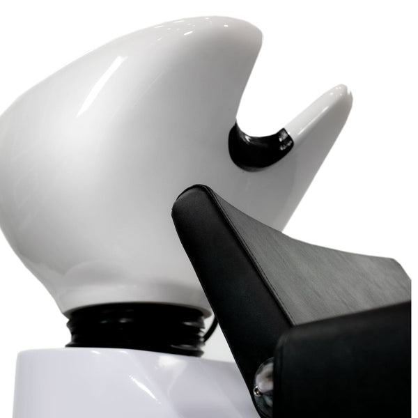 Aron II Shampoo Backwash Unit