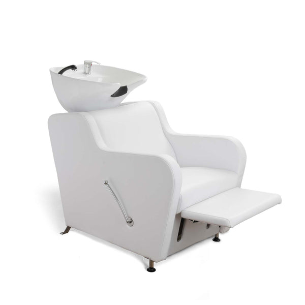 Stanley Shampoo Backwash Unit